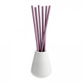 Parfum ambiental
